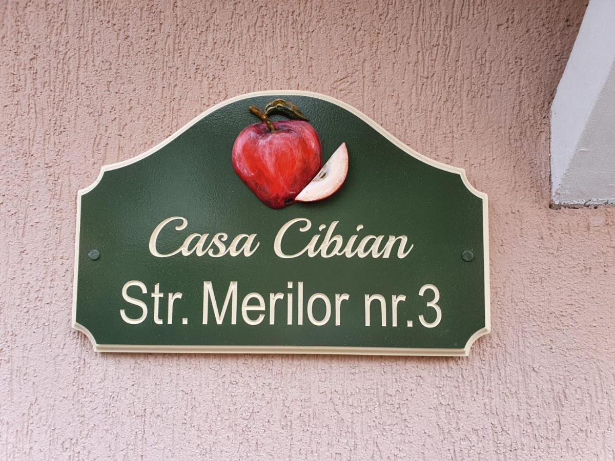 Casa Cibian Apartment Brasov Luaran gambar